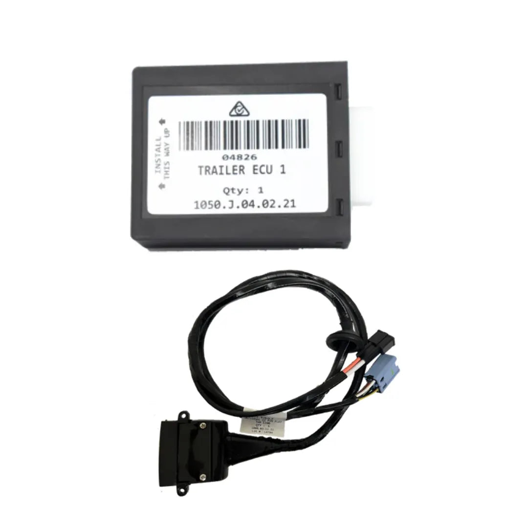 Optimized WebP image