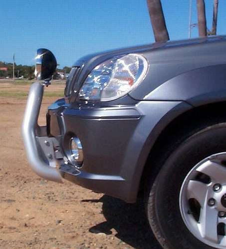 HYUNDAI TERRACAN Nudge Bar (11/01 to 06)